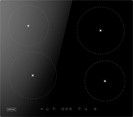 Induktionsfeld Reparatur Bützow